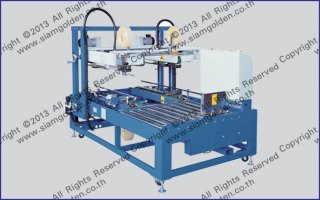 AUTOMATIC CARTON EDGE SEALER MODEL : SGS-6702