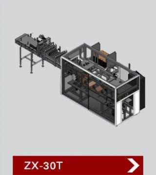 เครื่องบรรจุสินค้าลงกล่อง รุ่น ZX 30T