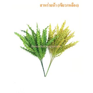 บูชสาหร่ายน้ำ