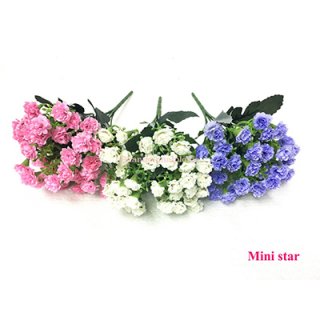 ดอก Mini star