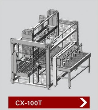 เครื่องบรรจุสินค้าลงกล่อง รุ่น CX 100T