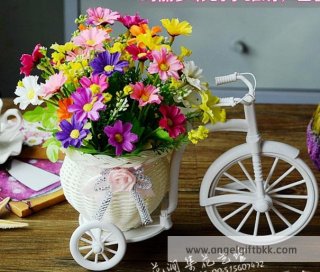 จักรยานดอกไม้ เดซี่ 