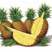 Pineapple, fruit dehydrated 