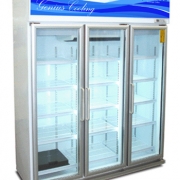 Display Chiller for Sale, Freezer, Coolers