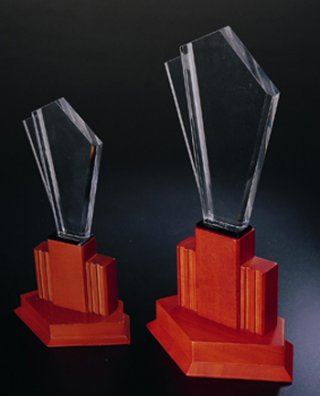 Acrylic Shield Award