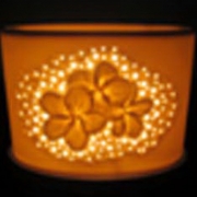 Electric Oil Burner Frangipani