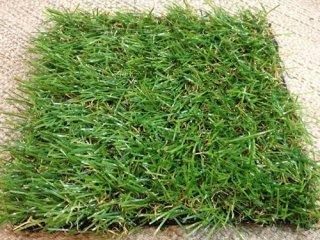 หญ้าเทียมรุ่นประหยัด 3 cm