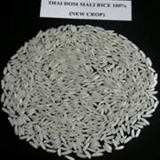 Jasmine Rice For Sale
