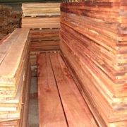 Timber Wood For Sale, Bamboo poles