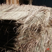 Blady Glass, Bamboo poles