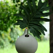 Ceramic Vases