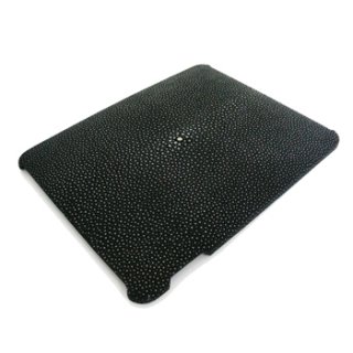 iPad Accessories (iPad Cases)