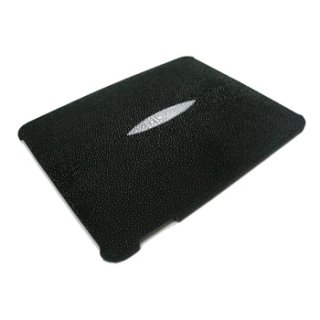 iPad Accessories (iPad Cases)