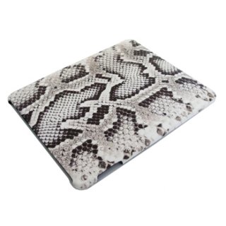 iPad Accessories (iPad Cases)