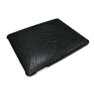 iPad Accessories (iPad Cases)
