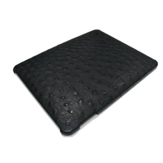 iPad Accessories (iPad Cases)