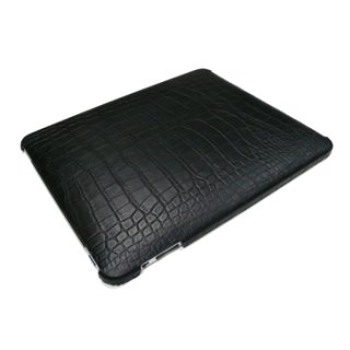 iPad Accessories (iPad Cases)