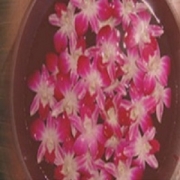 Aromatherapy Massage, Spa in Thailand