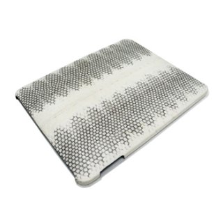 iPad Accessories (iPad Cases)