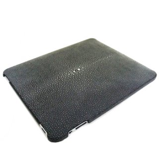iPad Leather Case