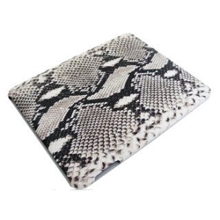 iPad Accessories (iPad Cases)