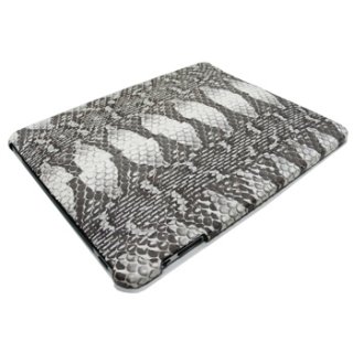 iPad Accessories (iPad Cases)