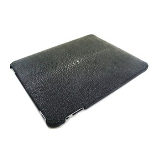 iPad Accessories (iPad Cases)