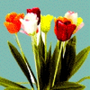 GNANO flower, nano filter manufacturer