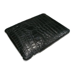 iPad Accessories (iPad Cases)