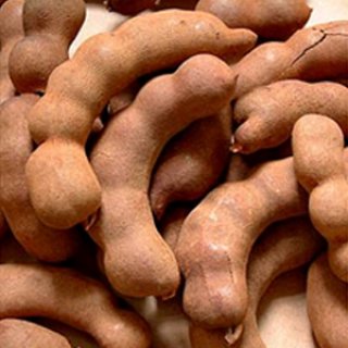 Tamarind export  thailand