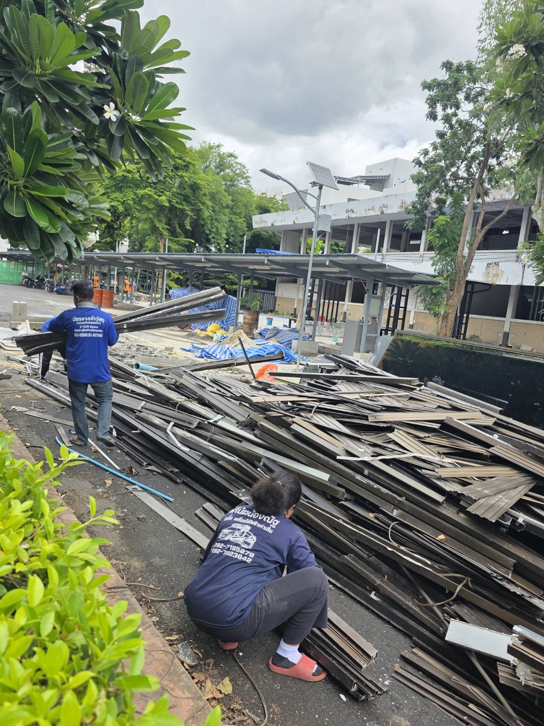 ผลงานที่ผ่านมา