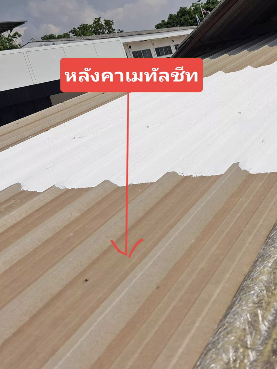 ผลงานทาสีกันร้อนหลังคาและดาดฟ้า โครงการที่ 3