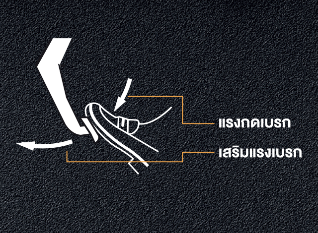 เอ็กซ์แพนเดอร์
