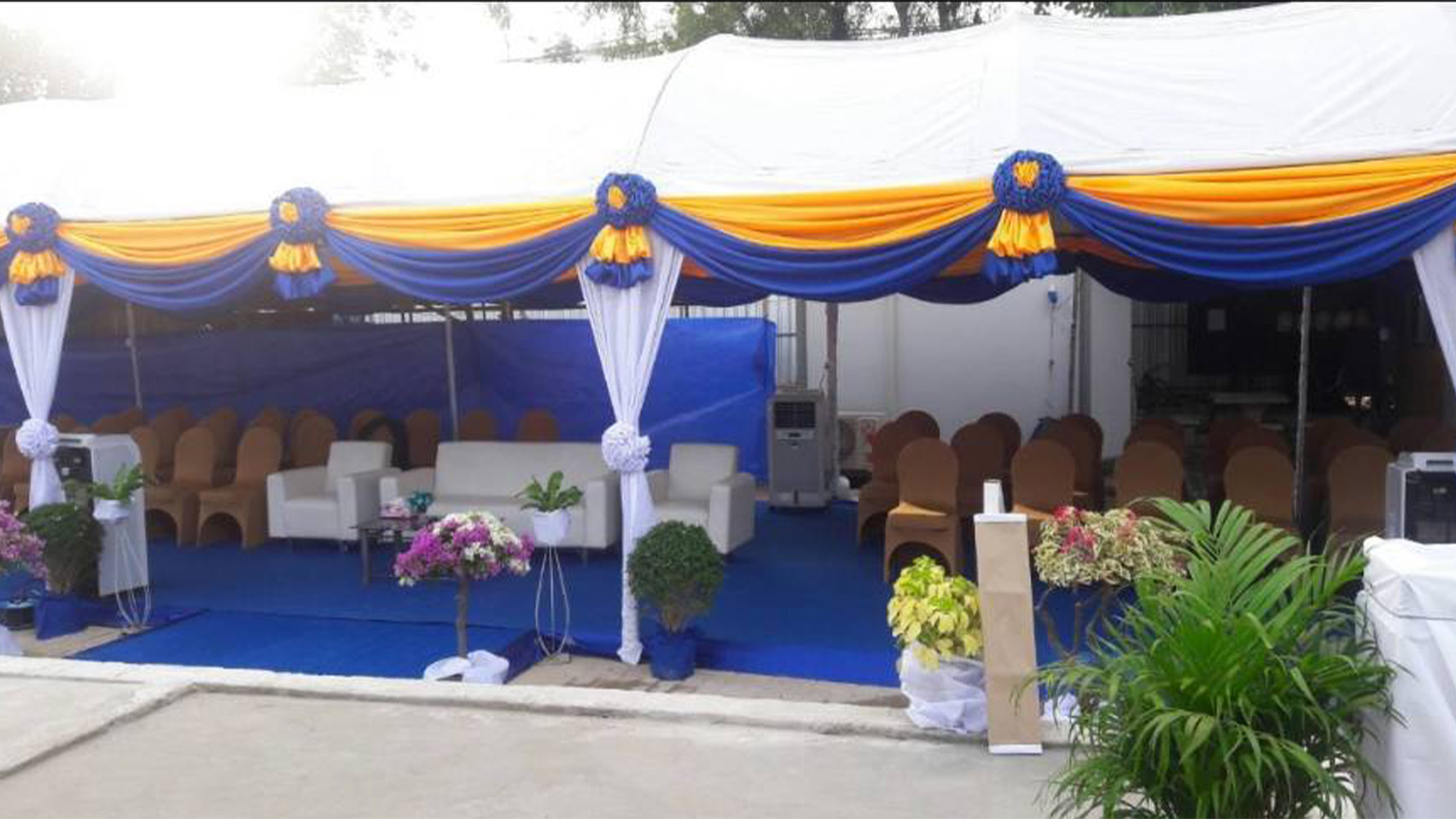 ผลงานที่ผ่านมา