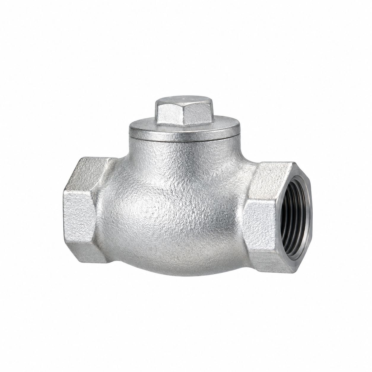 Check valve วาล์วกันกลับ